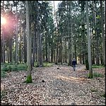 Brombachsee22005.jpg