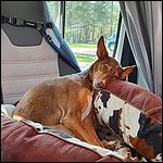Brombachsee22011.jpg