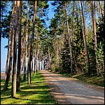 Brombachsee22049.jpg