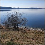 Brombachsee22060.jpg