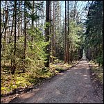 Brombachsee22065.jpg