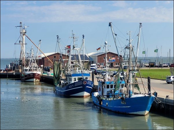 Dornum22052.jpg