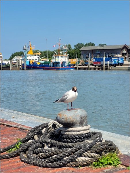 Dornum22057.jpg