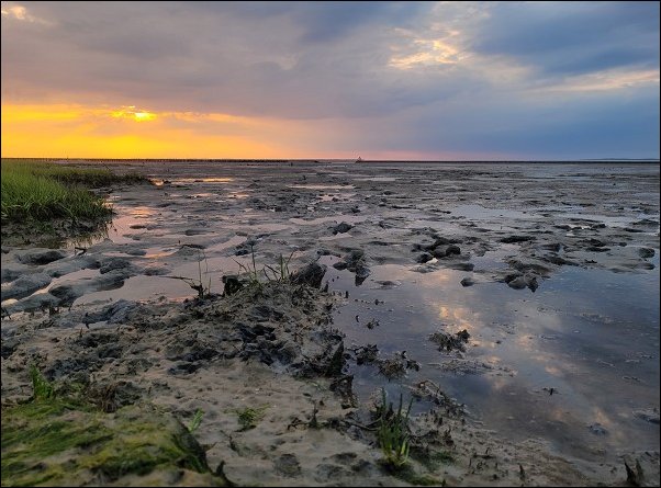 Dornum22092.jpg
