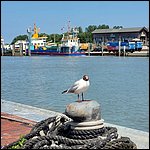 Dornum22057.jpg