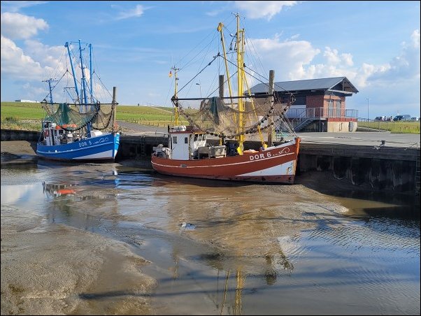 Dorum22009.jpg