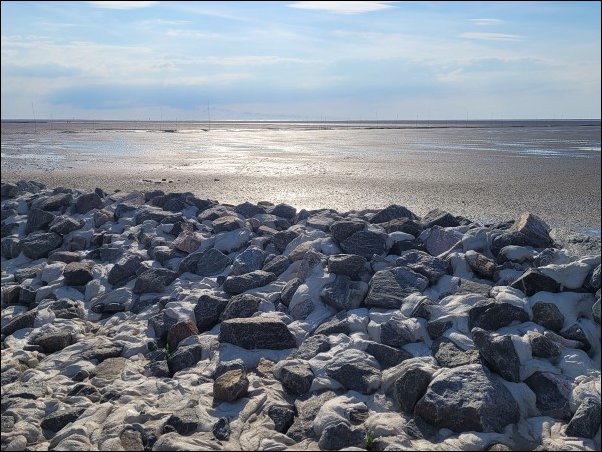 Dorum22012.jpg