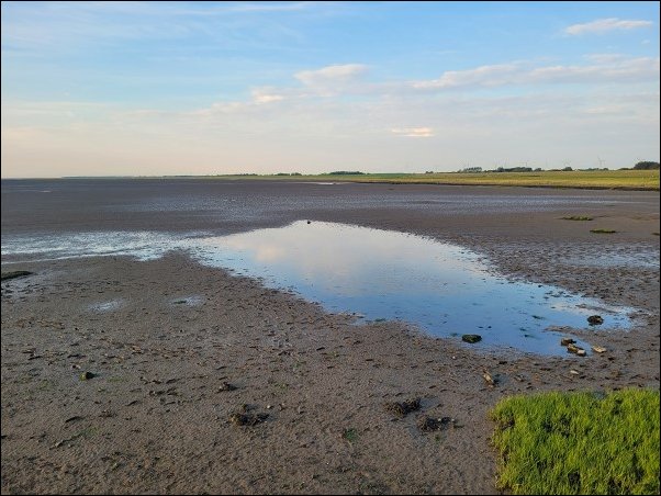 Dorum22015.jpg