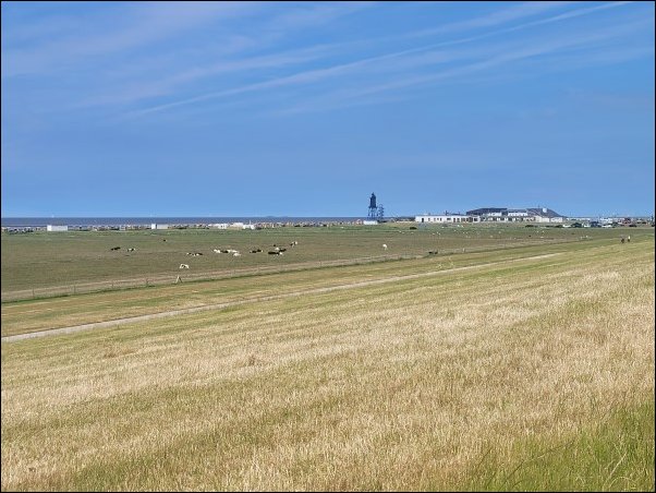 Dorum22025.jpg