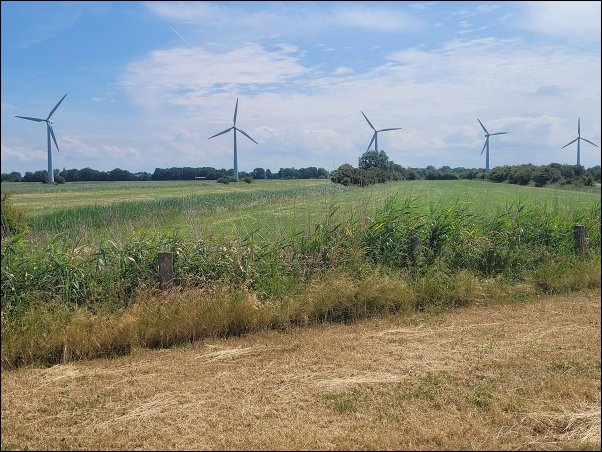 Dorum22026.jpg