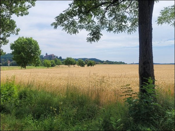 Mohrenhof22059.jpg