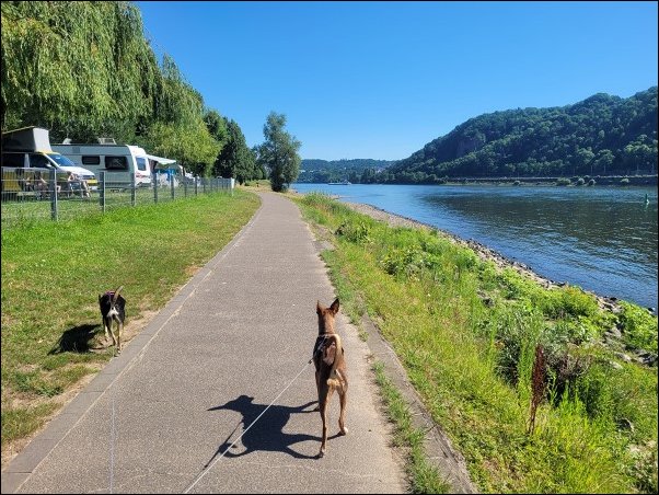 Koblenz22080.jpg