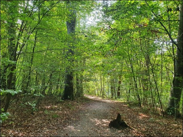 Markdorf202118.jpg