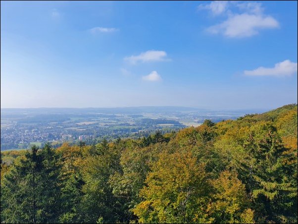 Markdorf202123.jpg