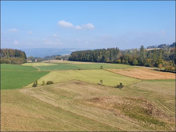 Markdorf202125.jpg