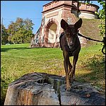 Markdorf202111.jpg