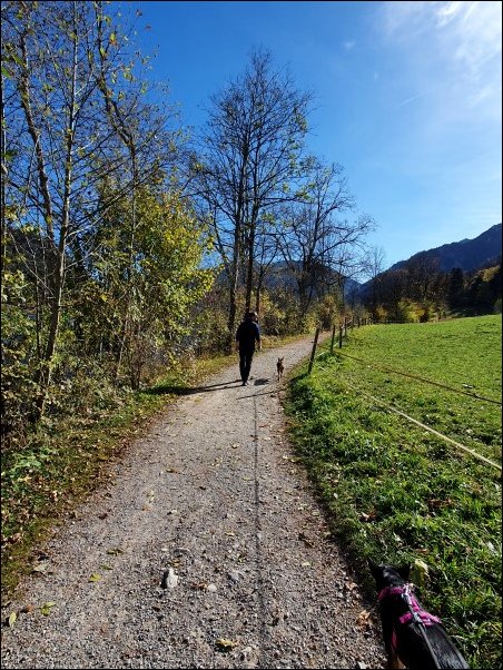 SchlierseeC202106.jpg