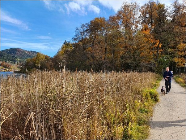SchlierseeC202113.jpg