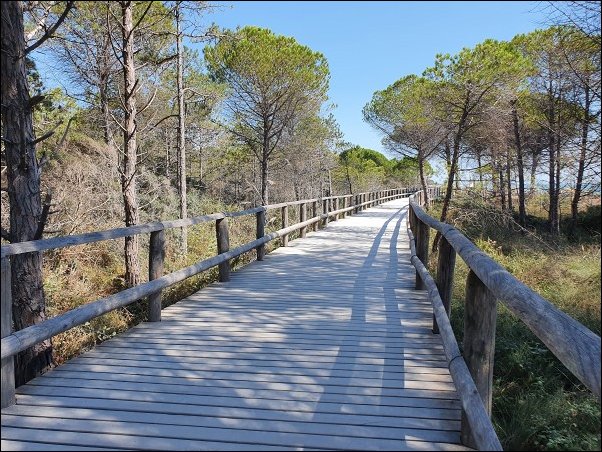 Bibione2021021.jpg