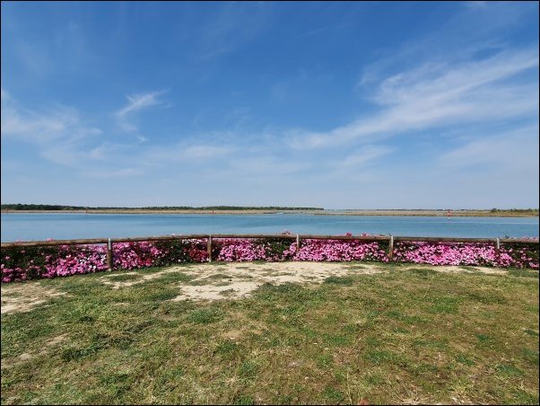 Bibione2021059.jpg