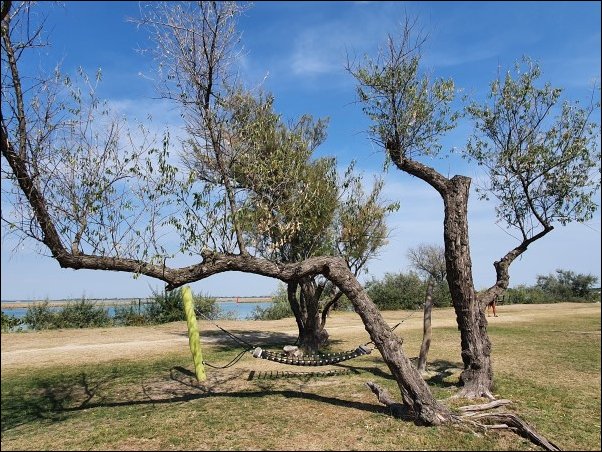 Bibione2021063.jpg