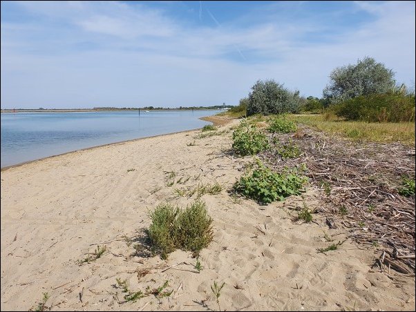 Bibione2021065.jpg