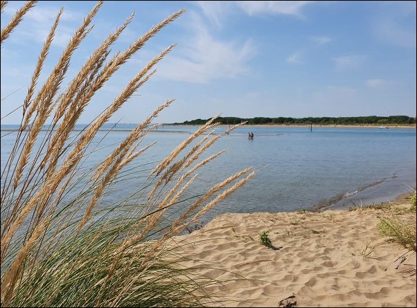 Bibione2021067.jpg