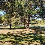 Bibione2021011.jpg