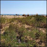 Bibione2021016.jpg