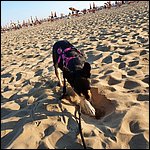 Bibione2021035.jpg