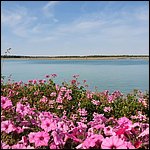 Bibione2021061.jpg