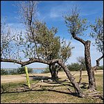 Bibione2021063.jpg