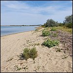 Bibione2021065.jpg