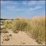 Bibione2021068.jpg