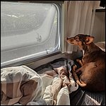 Bibione2021075.jpg