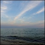 Bibione2021088.jpg