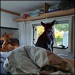 Klausen2021011.jpg