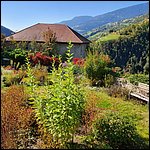 Klausen2021031.jpg
