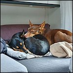 Klausen2021045.jpg
