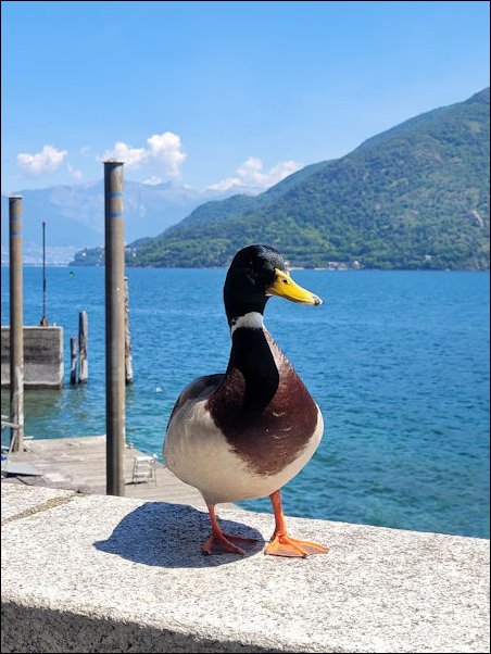LagoMaggiore22091.jpg