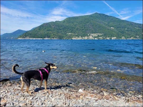 LagoMaggiore22101.jpg