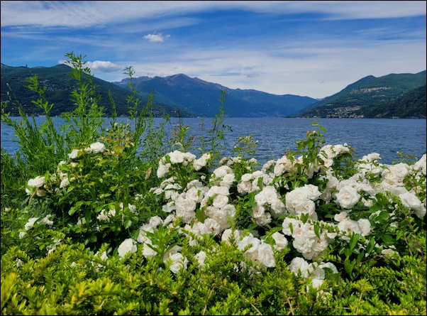 LagoMaggiore22126.jpg