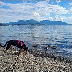 LagoMaggiore22001.jpg