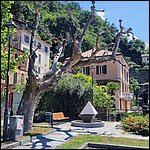 LagoMaggiore22041.jpg