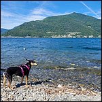 LagoMaggiore22101.jpg