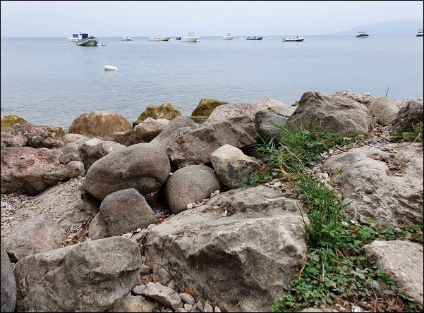 Lazise2021012.jpg