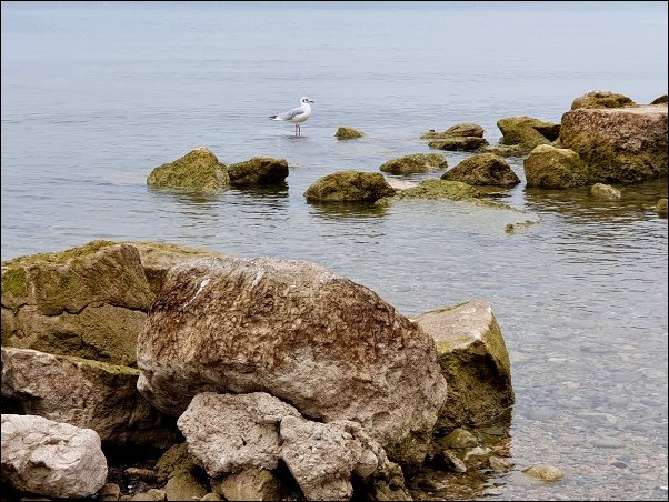 Lazise2021013.jpg