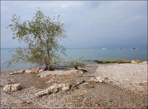 Lazise2021018.jpg