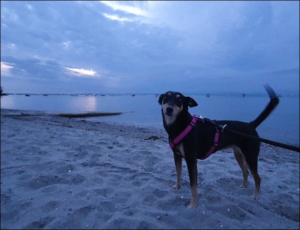 Lazise2021026.jpg