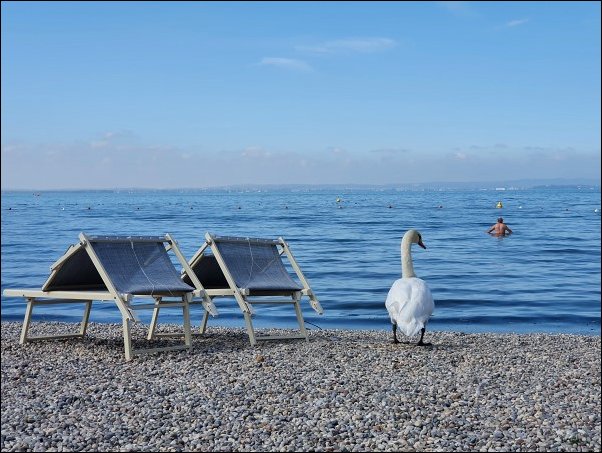 Lazise2021029.jpg
